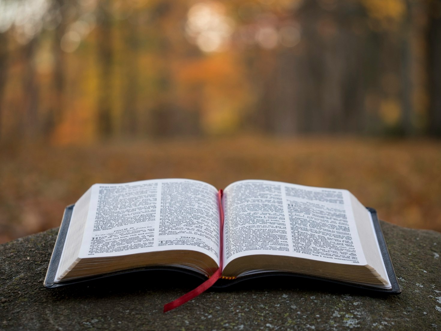 10 Ways the Bible Guides Worship Practices